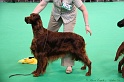 Crufts2011 606